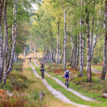 Chalet Op De Veluwe # Berk Путен Екстериор снимка