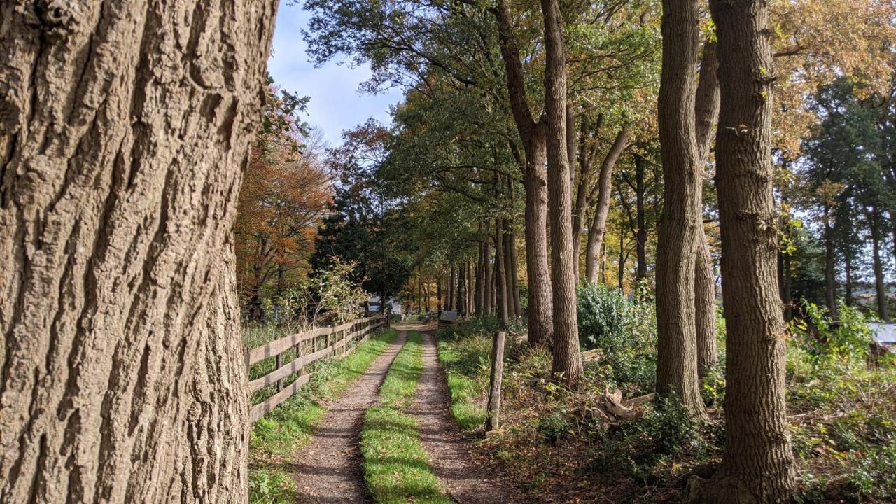 Chalet Op De Veluwe # Berk Путен Екстериор снимка
