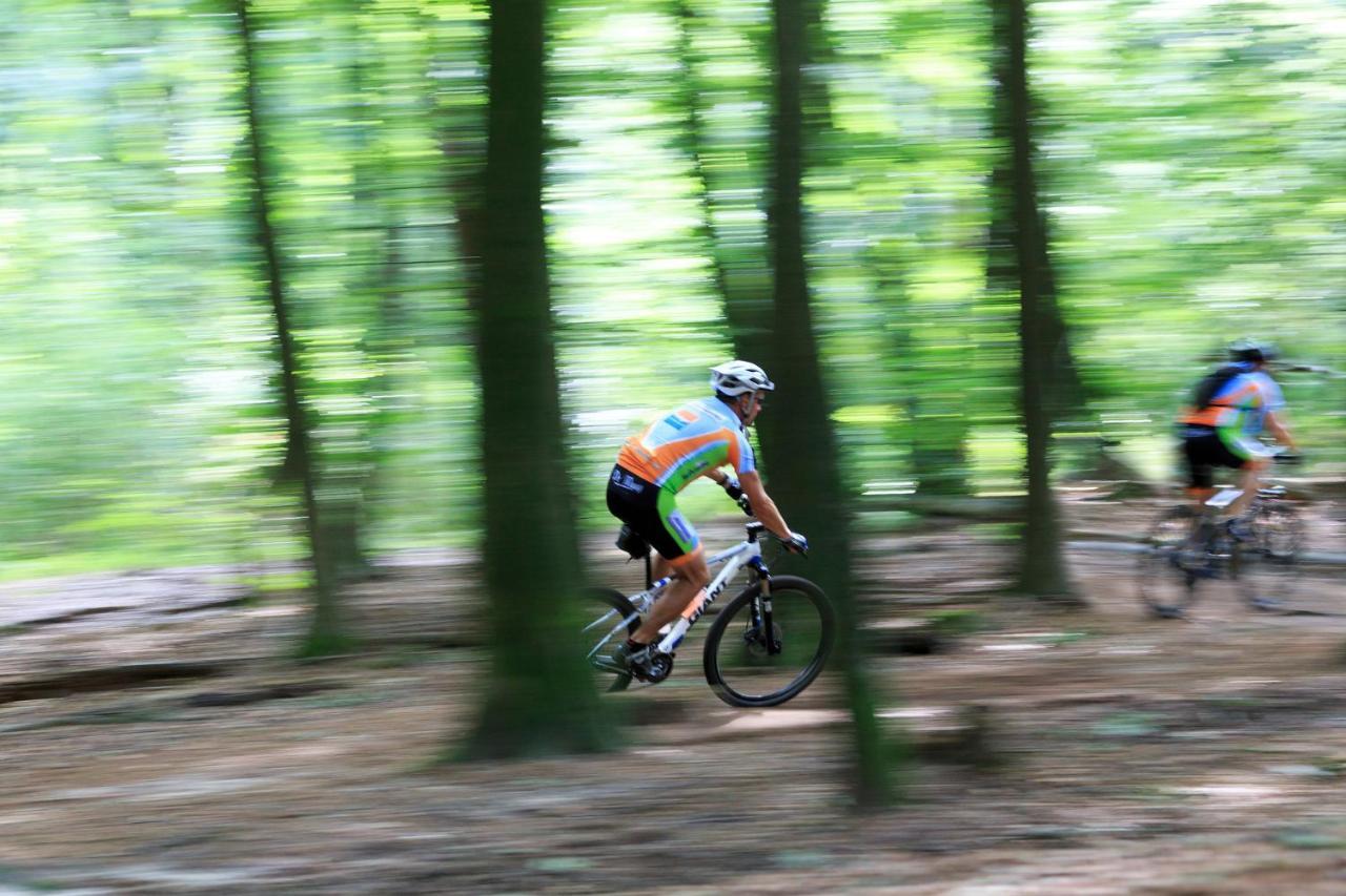 Chalet Op De Veluwe # Berk Путен Екстериор снимка