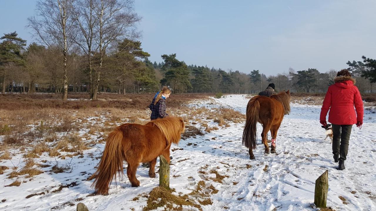 Chalet Op De Veluwe # Berk Путен Екстериор снимка