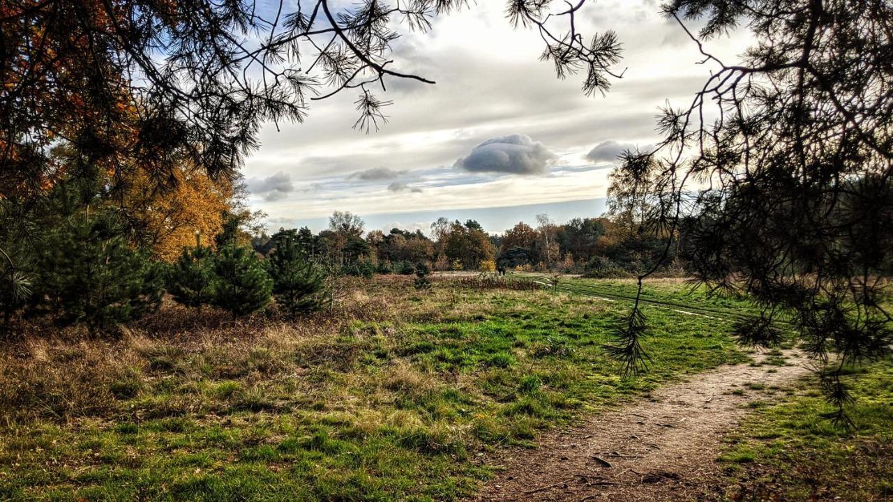 Chalet Op De Veluwe # Berk Путен Екстериор снимка