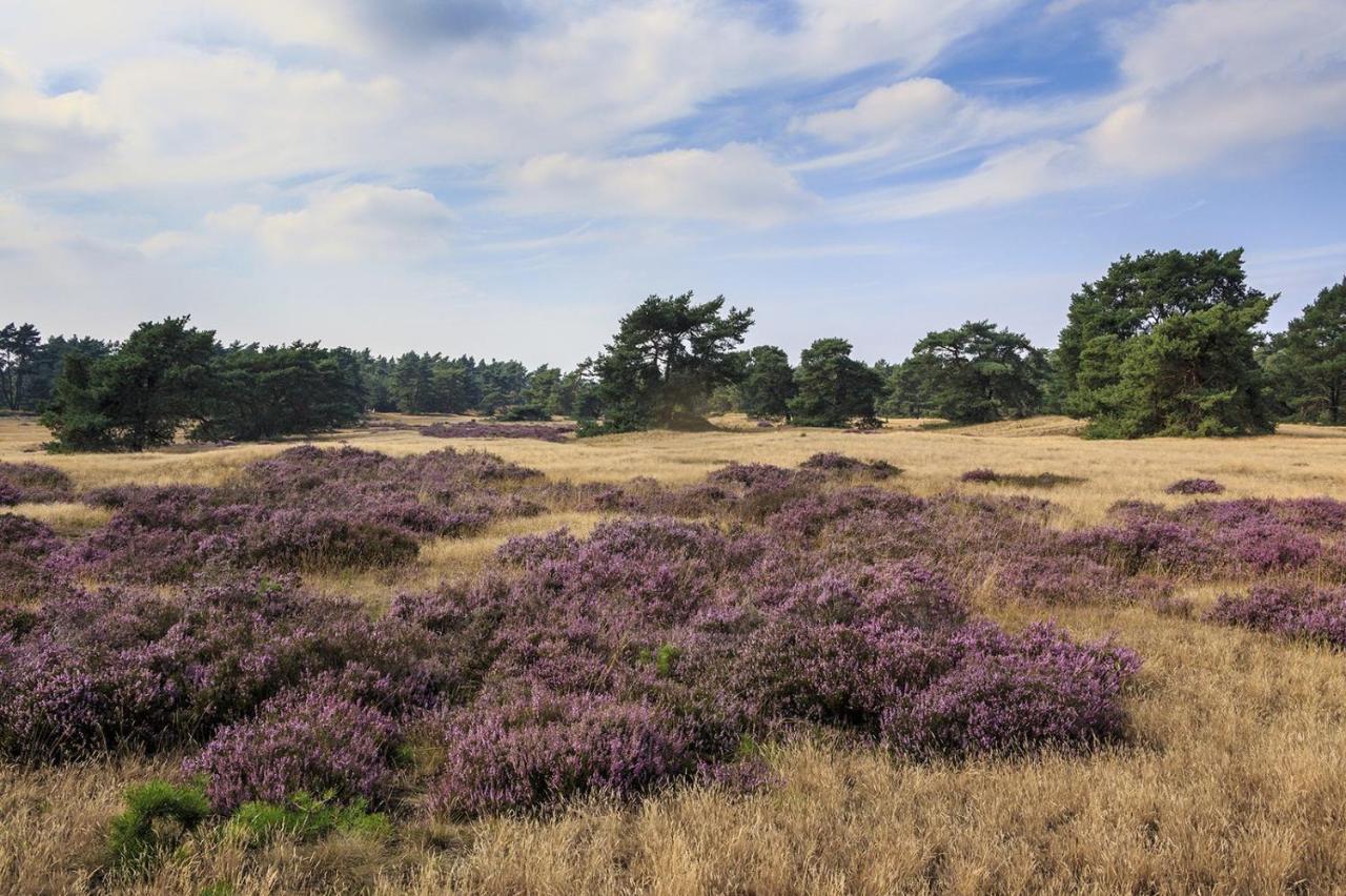 Chalet Op De Veluwe # Berk Путен Екстериор снимка