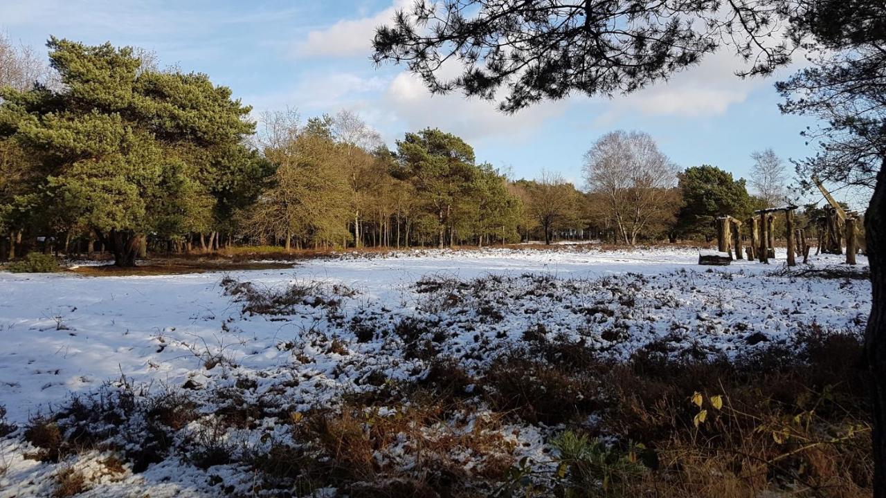 Chalet Op De Veluwe # Berk Путен Екстериор снимка